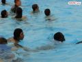 DSC04030.jpg