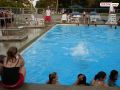 DSC04035.jpg