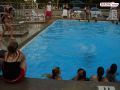 DSC04036.jpg