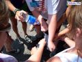 100_0501.jpg