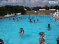 100_0547.jpg