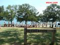 DSC08260.jpg