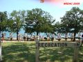 DSC08262.jpg
