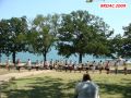 DSC08264.jpg