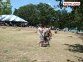 DSC08296.jpg