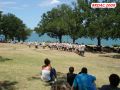 DSC08300.jpg