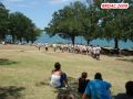 DSC08301.jpg
