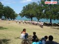 DSC08302.jpg