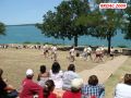 DSC08306.jpg