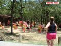 DSC07365.jpg