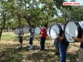 DSC07426.jpg