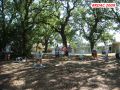 DSC07435.jpg