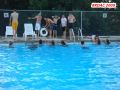 DSC07614.jpg
