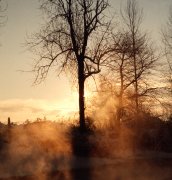Nkym laitumien reunamilta talvipakkasilla.