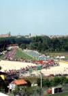 The Tifosi celebrate