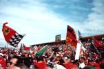 The fans