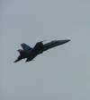 F118 flypast