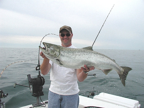 Dean Sheppard King Salmon