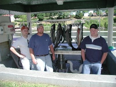 july first run of kings.Great morning fishing
