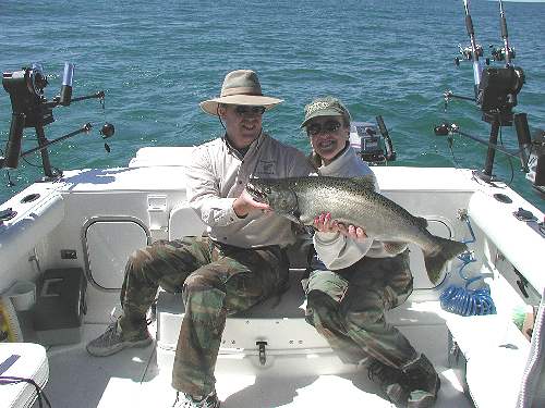 King salmon