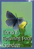Ilona's Garden