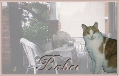 Babes photo