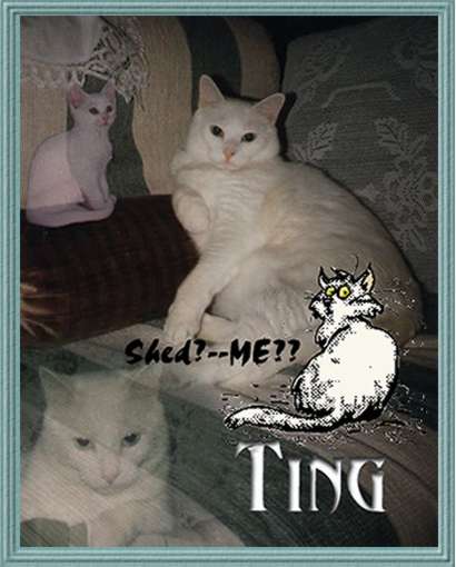 Ting graphic