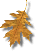 leafgif