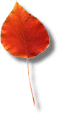 leafgif