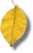 leafgif
