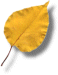leafgif