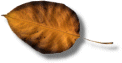 leafgif