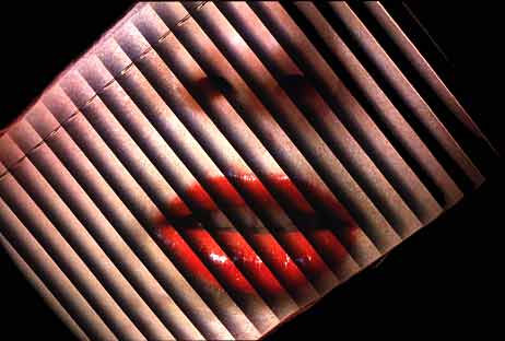 Lips
