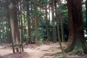 Mount Kurama