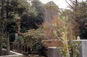 Usui Grave Trees