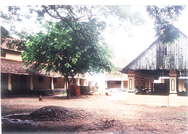 My School
