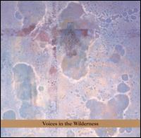 Masada Anniversary Edition Vol. 2: Voices in the Wilderness