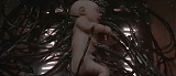 baby image 2