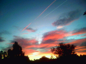 Photo by Jeff's friend Renee Gurley - taken in California, December 2005