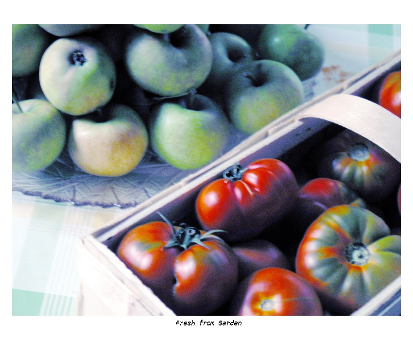 Fresh from the garden.