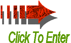 Click this icon or the text to enter this site.