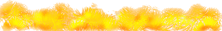 image; yellow-brown grasses
