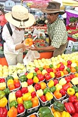 St. Jacobs Farmers Market