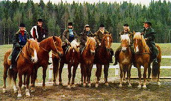 Finnhorses