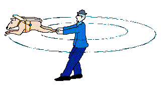 man swinging see-eye dog