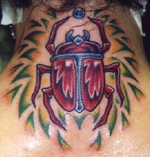 A beautiful colored scarab!