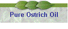 Pure Ostrich Oil