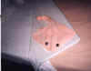 stingray by Harris.JPG (20863 bytes)