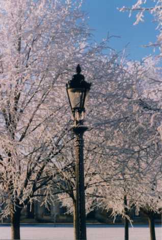 Lamppost