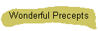 Wonderful Precepts
